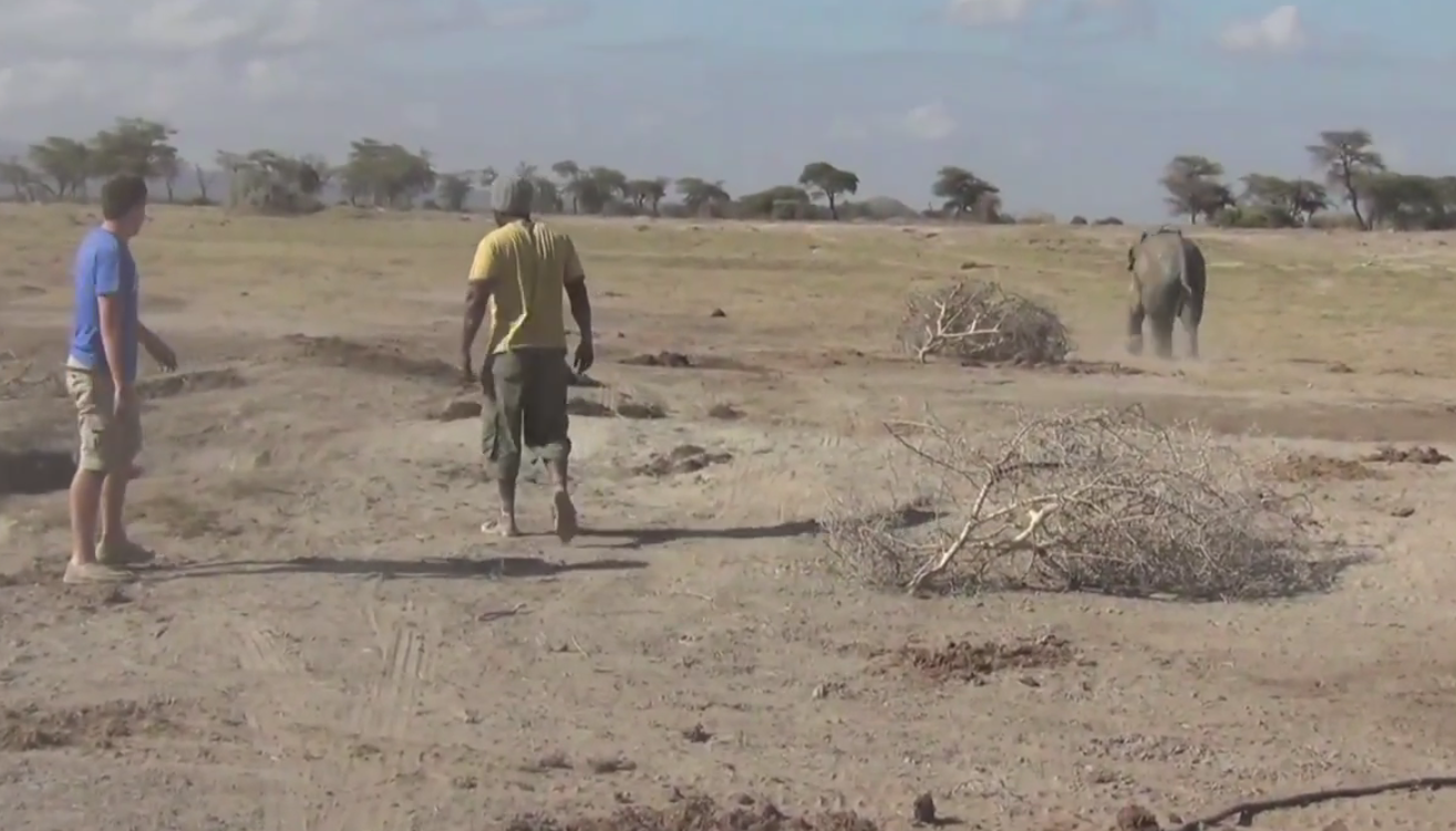 Elefant, VideoExtra, Kenya